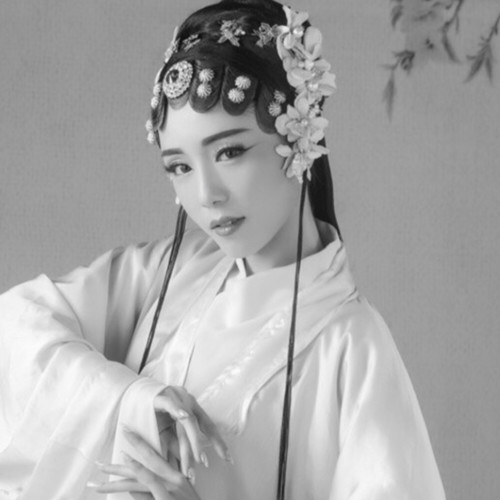 红昭愿蕾儿