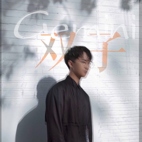 双子徐秉龙