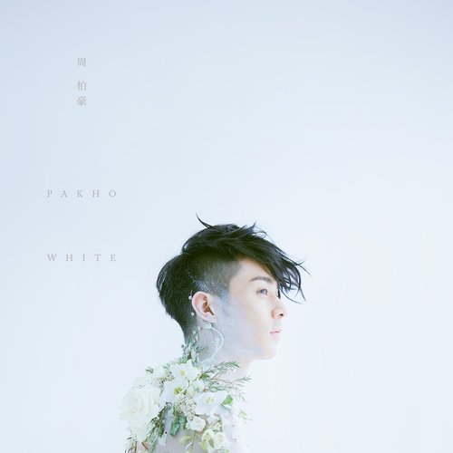 小白周柏豪