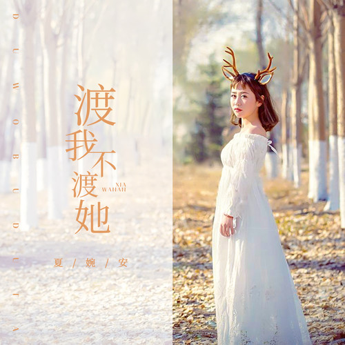 渡我不渡她夏婉安