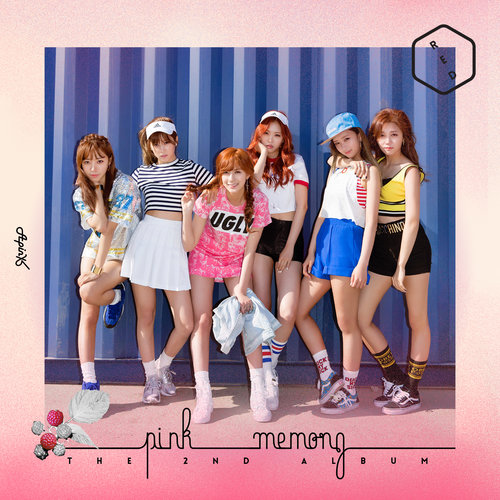 RememberApink RememberApink