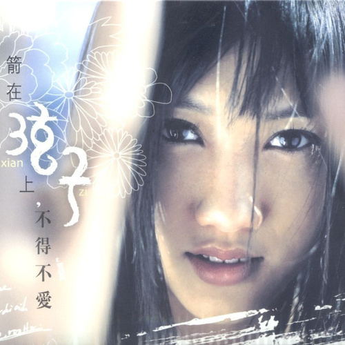 不得不爱弦子/潘玮柏