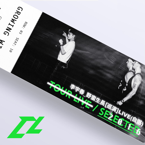 蜀绣李宇春