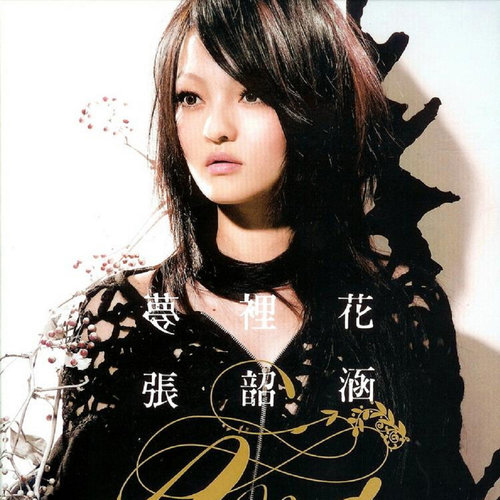 梦里花张韶涵