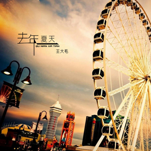 去年夏天王大毛