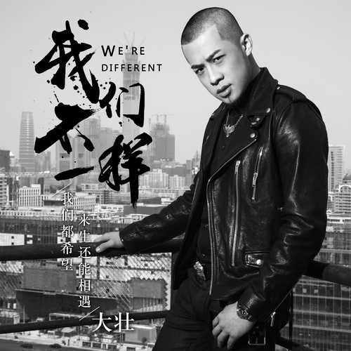 我们不一样大壮