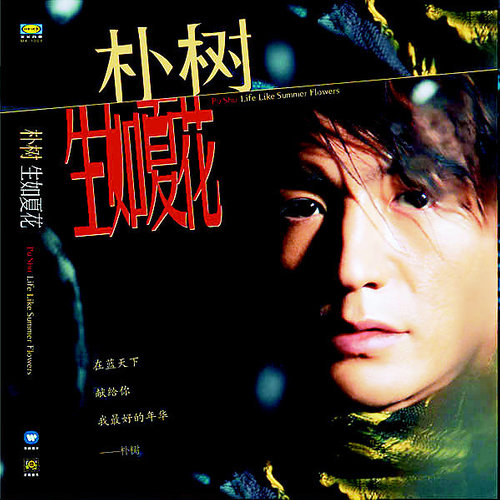 生如夏花朴树