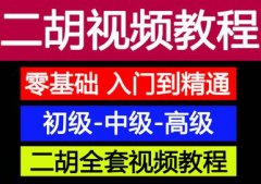 二胡自学教程入门视频教