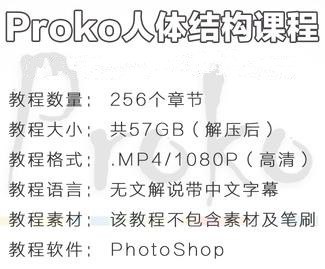 proko人体结构绘画自学视频教程