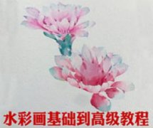 水彩画自学教程基础入门