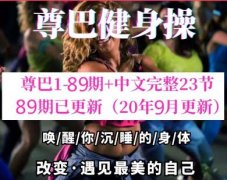尊巴热舞教学视频全套教