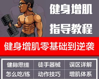 增肌塑形训练计划视频课